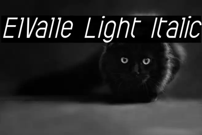 ElValle Light Italic Font examples