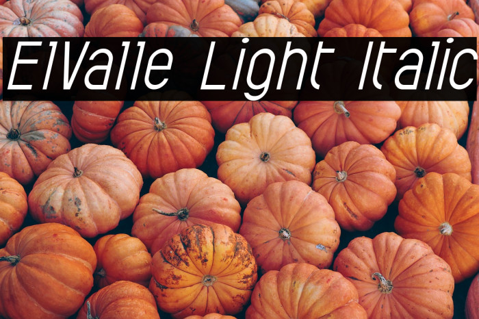 ElValle Light Italic Example 2