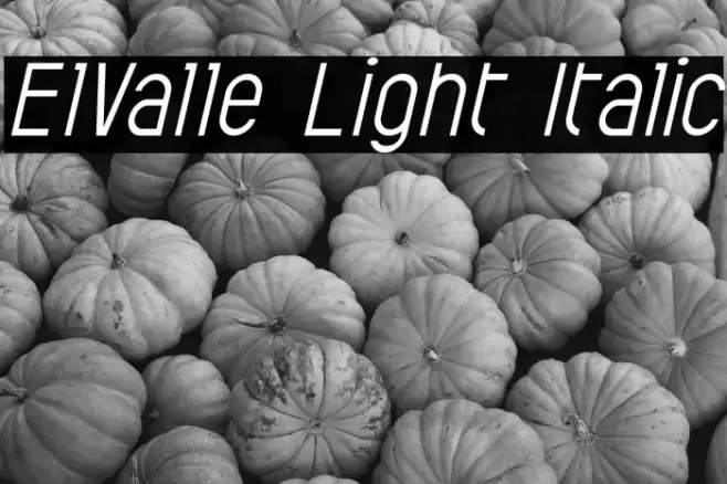 ElValle Light Italic Font examples