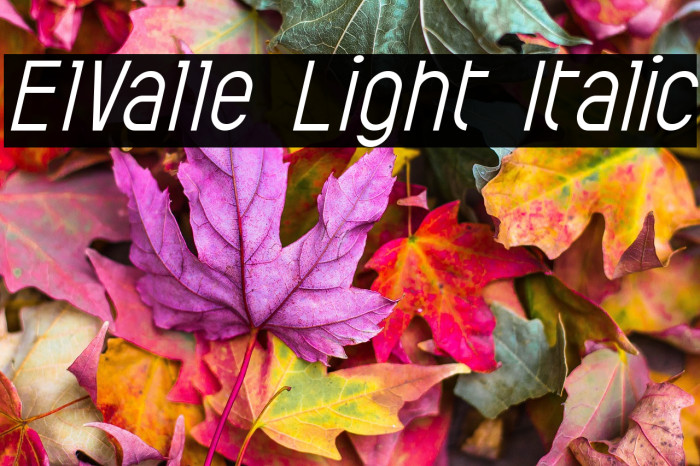 ElValle Light Italic Example 3