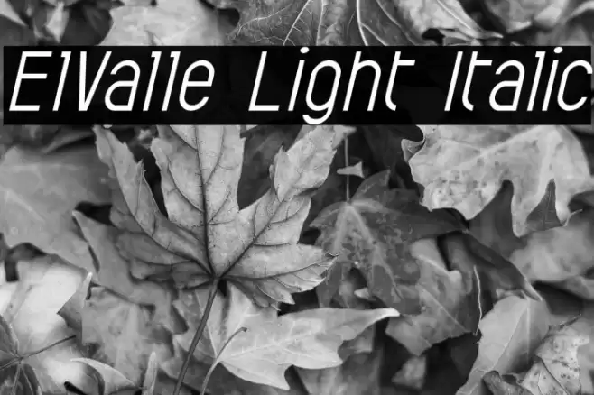 ElValle Light Italic Font examples