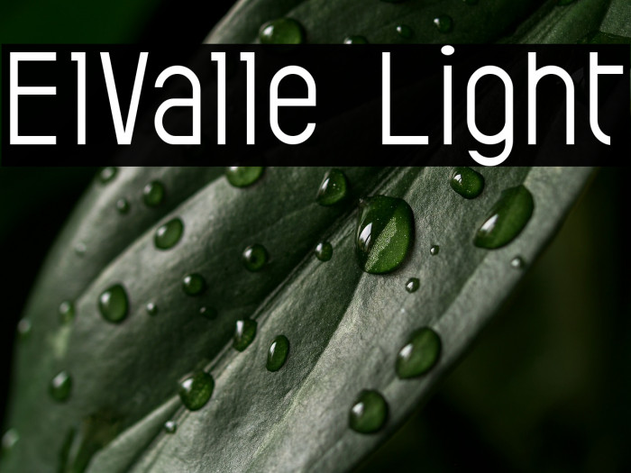ElValle Light Example 1
