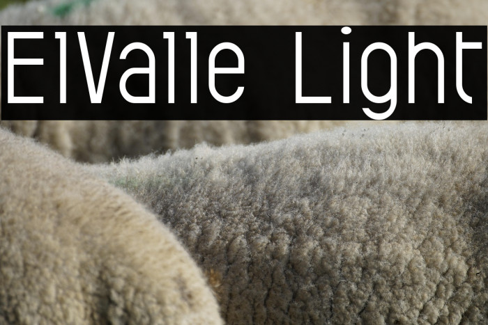 ElValle Light Example 2