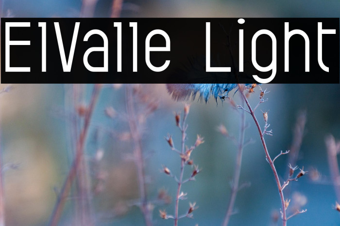ElValle Light Example 3