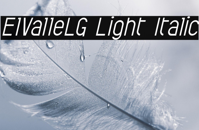 ElValleLG Light Italic Example 3
