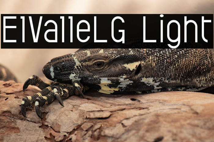 ElValleLG Light Example 3