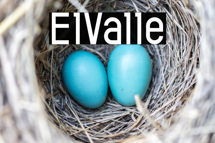ElValle Example 2
