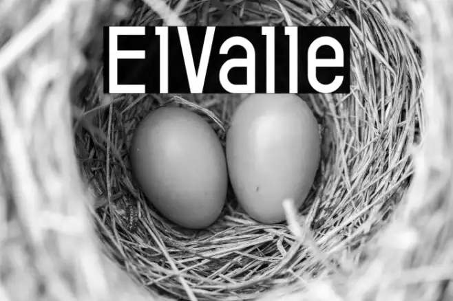 ElValle Example 2