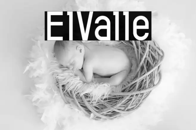 ElValle Example 3