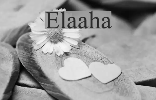 Elaaha Font examples