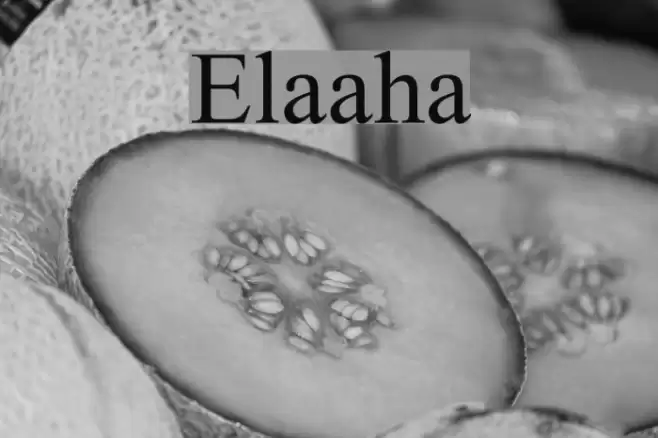 Elaaha Font examples