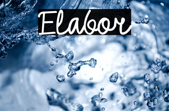 Elabor Example 1