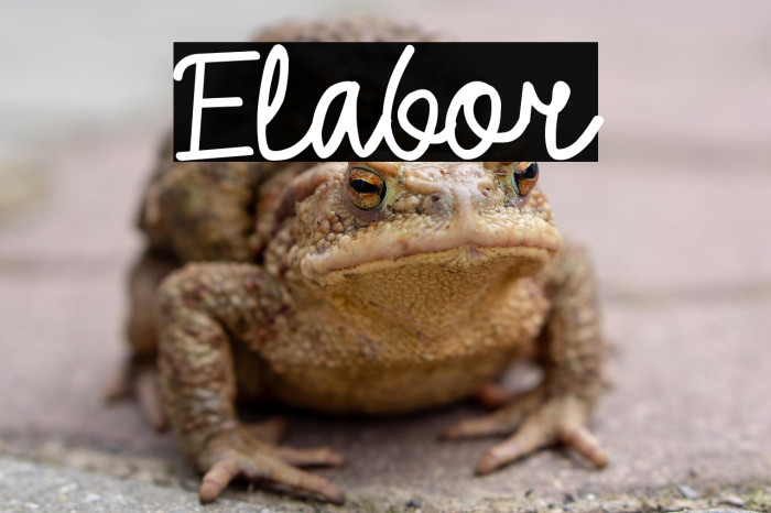 Elabor Example 2