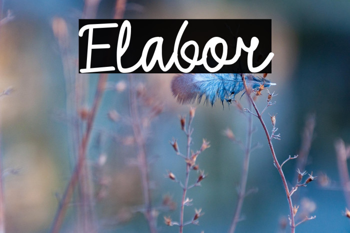 Elabor Example 3