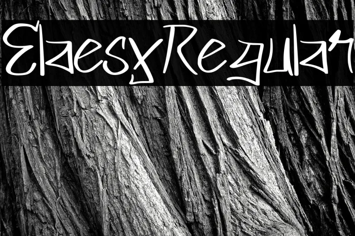Elaesy Regular Example 3
