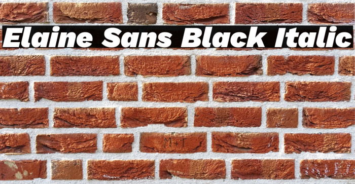 Elaine Sans Black Italic Example 1
