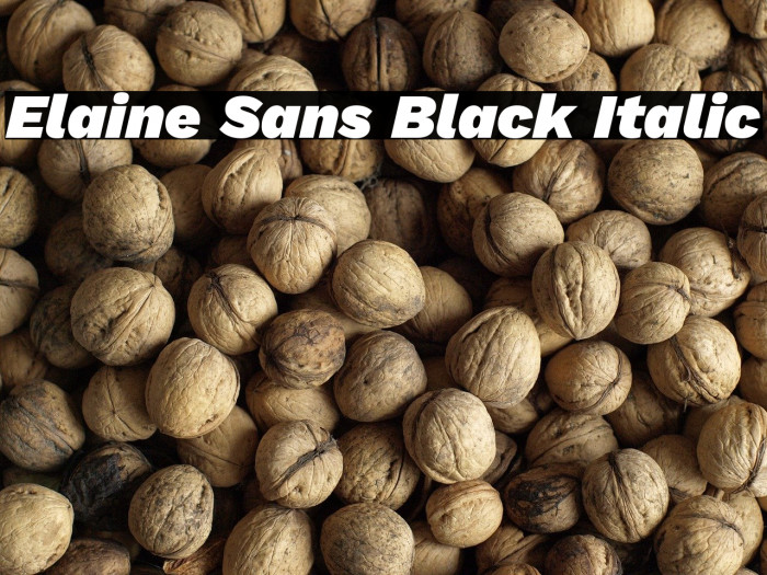 Elaine Sans Black Italic Example 3