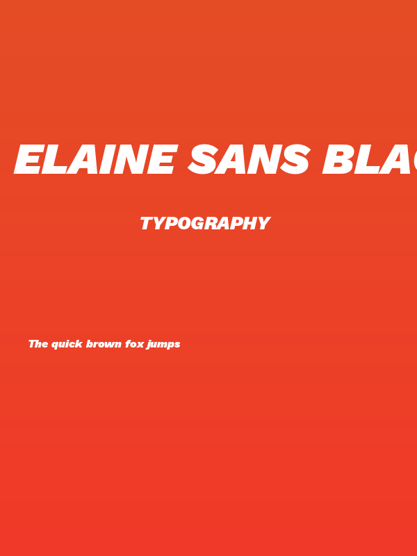 Elaine Sans Black Italic Poster