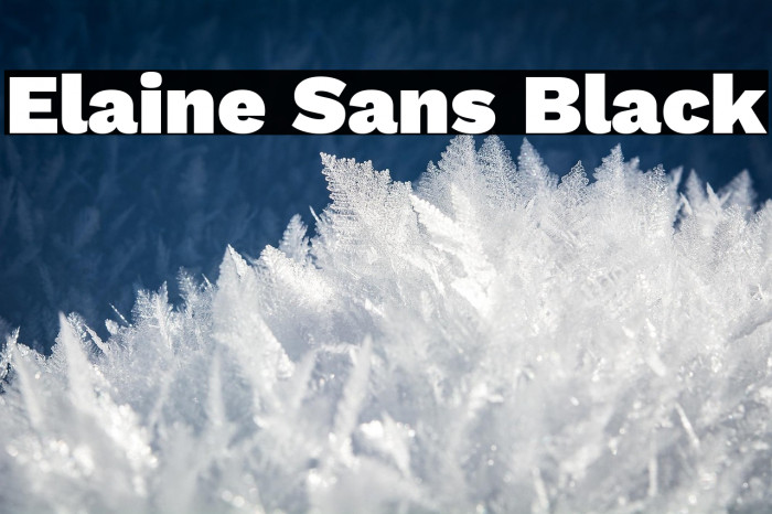 Elaine Sans Black Example 1