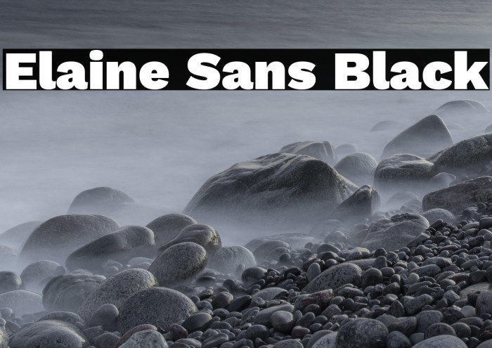 Elaine Sans Black Example 3