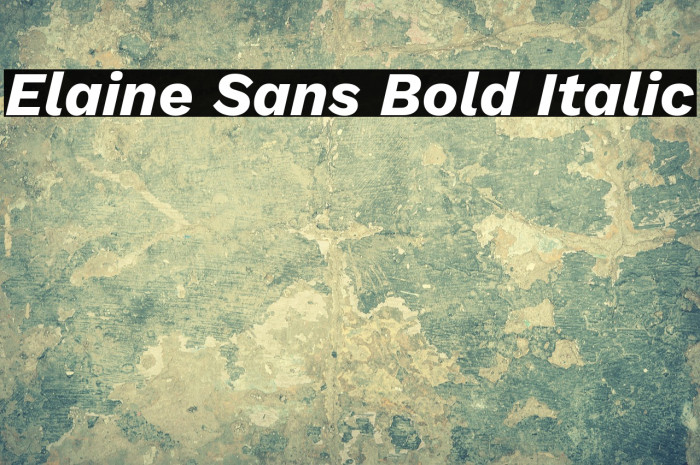 Elaine Sans Bold Italic Example 1