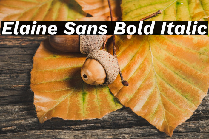 Elaine Sans Bold Italic Example 3