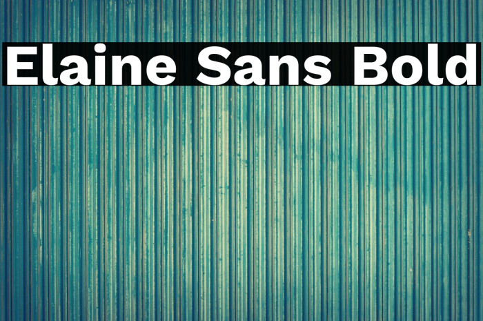 Elaine Sans Bold Example 1