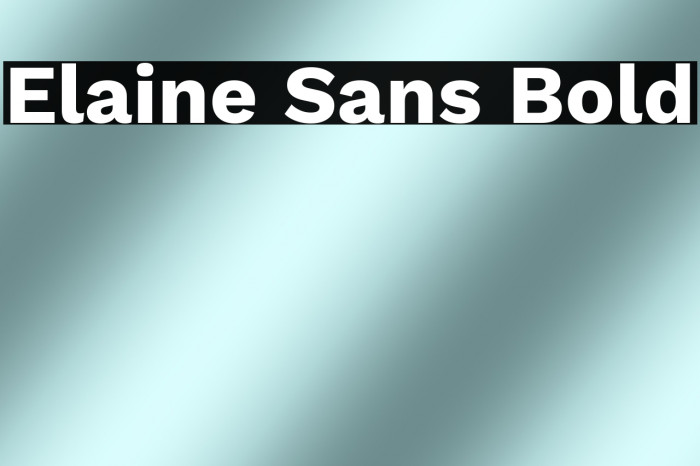 Elaine Sans Bold Example 2