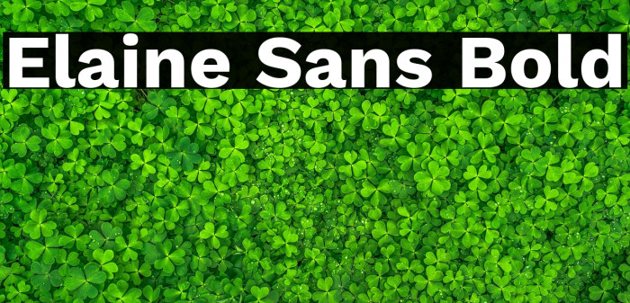Elaine Sans Bold Example 3