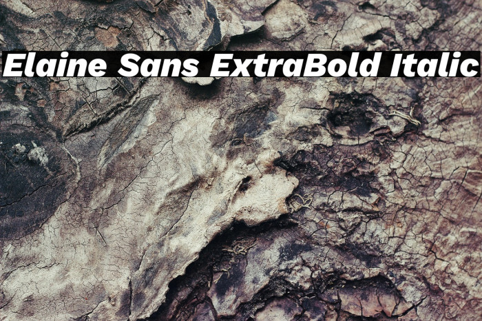 Elaine Sans ExtraBold Italic Example 3