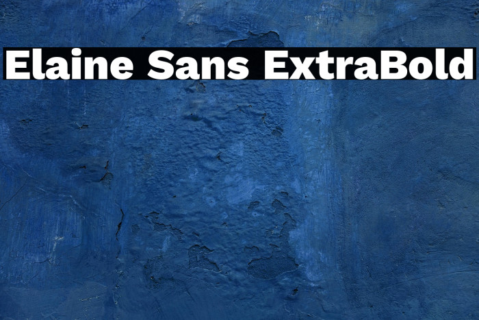 Elaine Sans ExtraBold Example 1