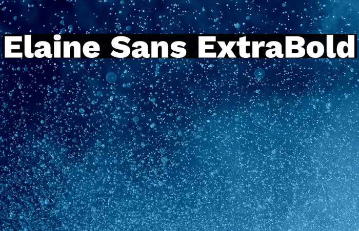 Elaine Sans ExtraBold Example 2