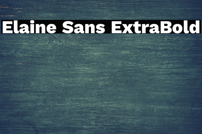 Elaine Sans ExtraBold Example 3
