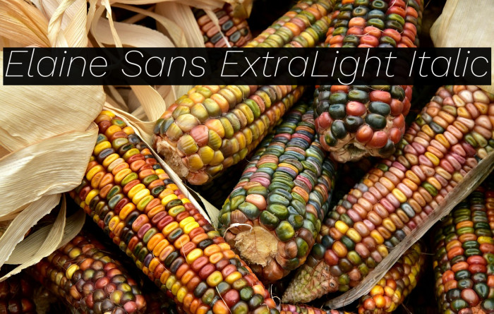 Elaine Sans ExtraLight Italic Example 2