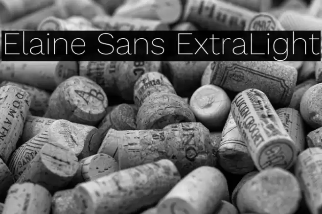 Elaine Sans ExtraLight Font examples