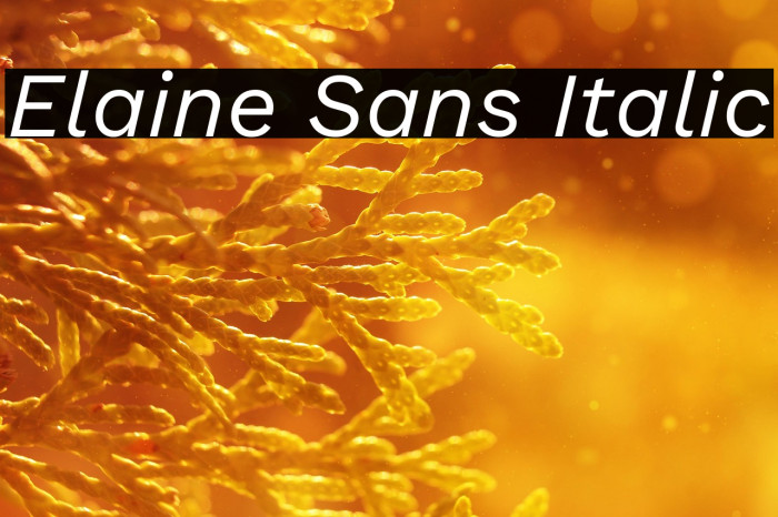 Elaine Sans Italic Example 1