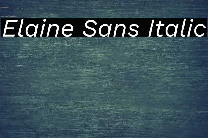 Elaine Sans Italic Example 3