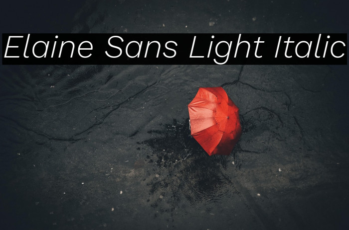 Elaine Sans Light Italic Example 1