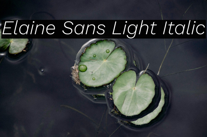 Elaine Sans Light Italic Example 3