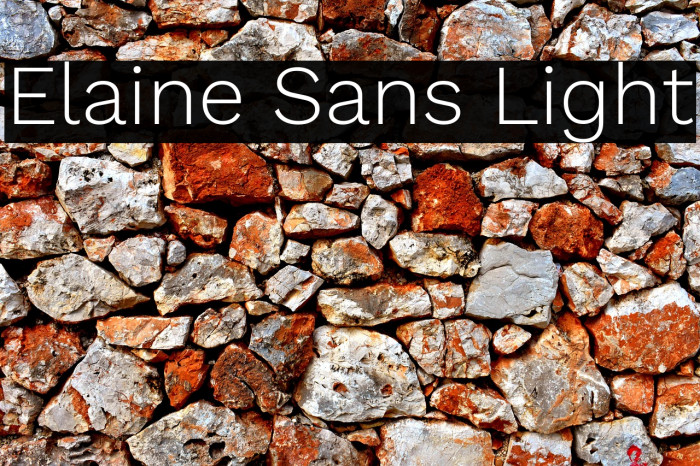 Elaine Sans Light Example 1