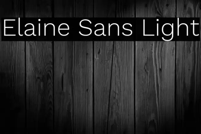 Elaine Sans Light Font examples