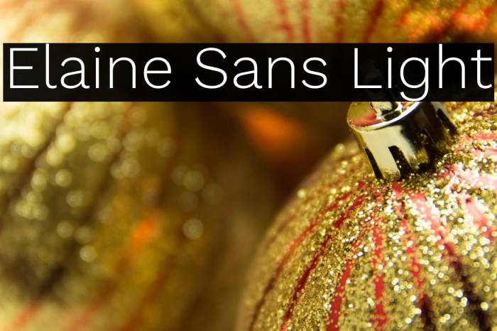 Elaine Sans Light Example 3