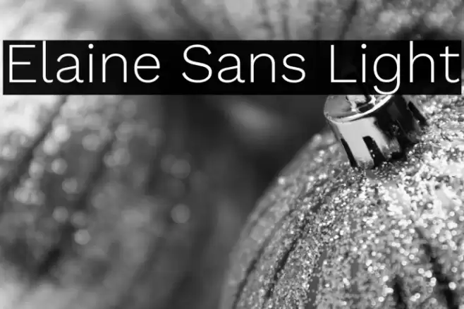 Elaine Sans Light Font examples