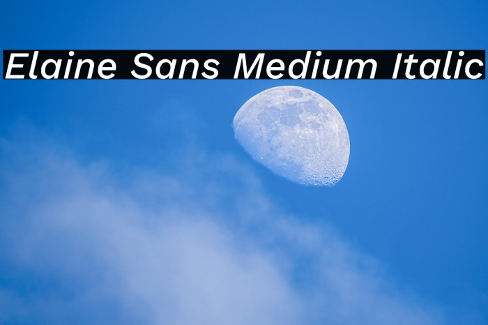 Elaine Sans Medium Italic Example 1