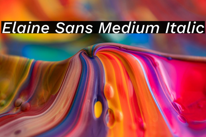Elaine Sans Medium Italic Example 3