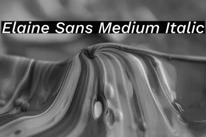 Elaine Sans Medium Italic Font examples