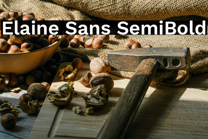 Elaine Sans SemiBold Example 1