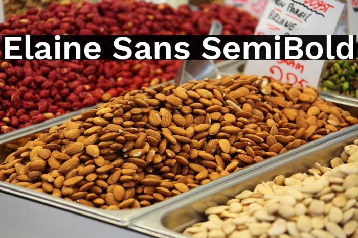 Elaine Sans SemiBold Example 2