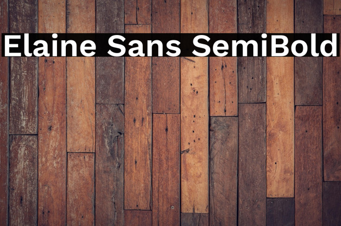 Elaine Sans SemiBold Example 3