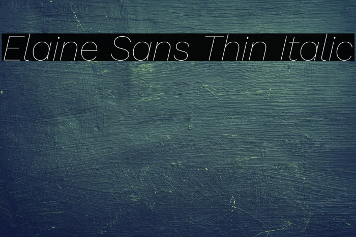 Elaine Sans Thin Italic Example 1